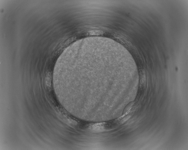 X0000068260078200605191813