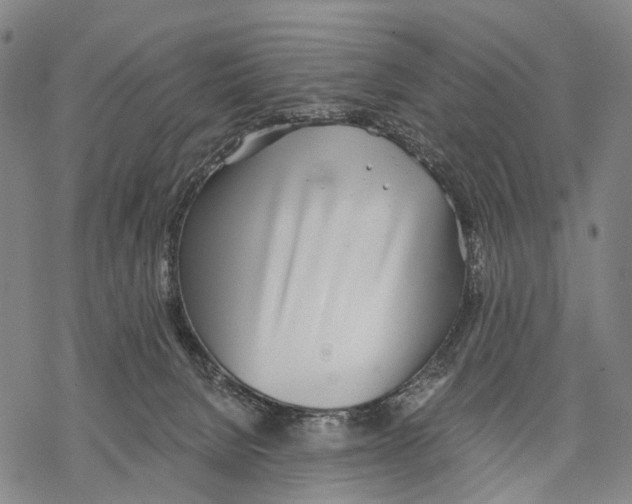 X0000068260080200605191813