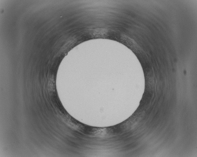 X0000068260083200605191813