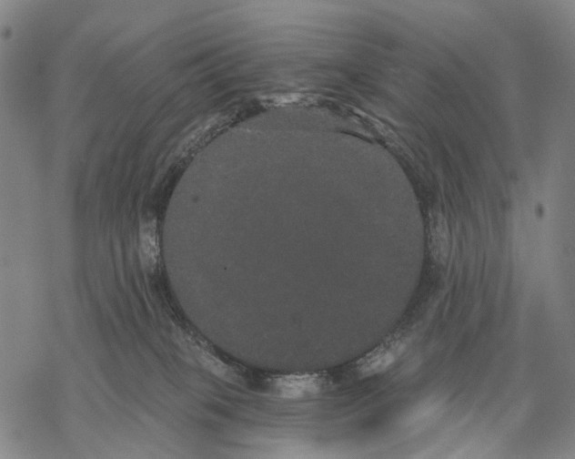 X0000068260085200605191813