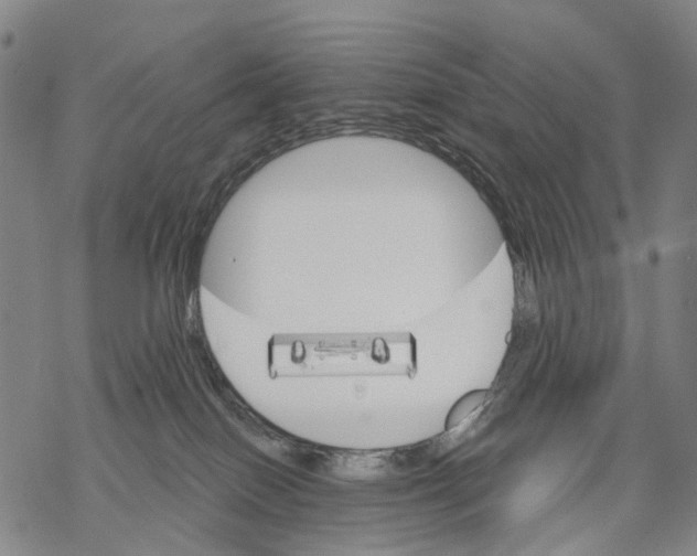 X0000068260086200605191813