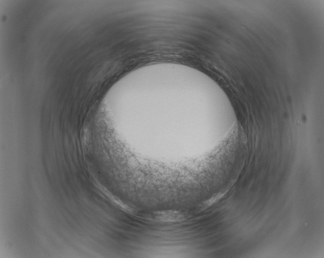 X0000068260087200605191813