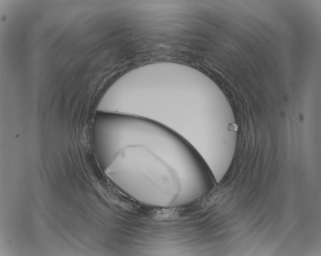 X0000068260088200605191813