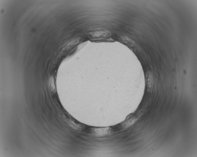 X0000068260089200605191814