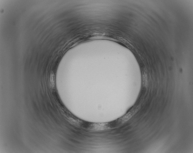 X0000068260093200605191814