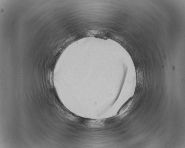 X0000068260094200605191814