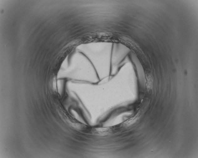 X0000068260095200605191814