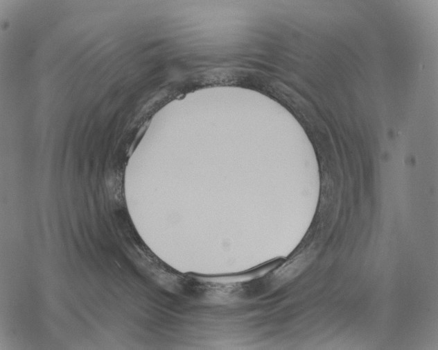 X0000068260096200605191814