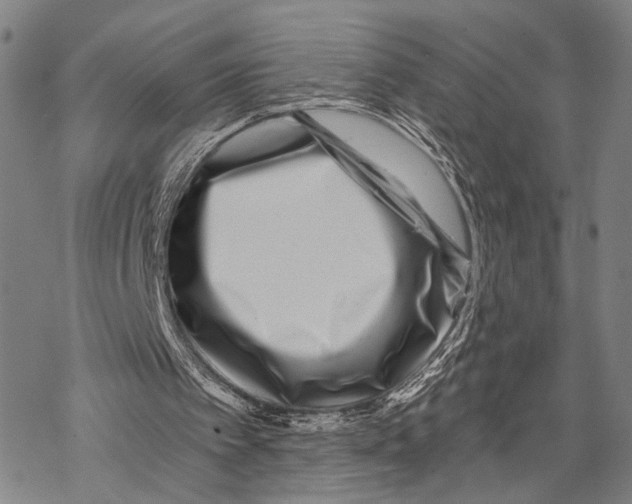 X0000068260097200605191813