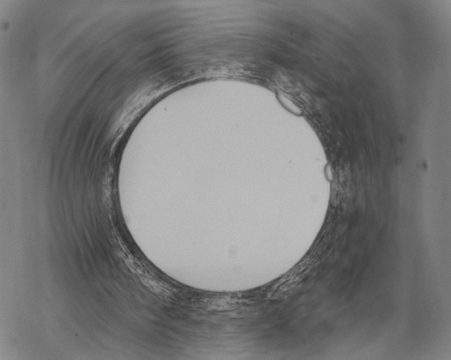 X0000068260098200605191813