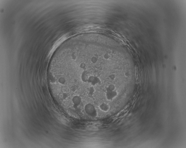 X0000068260099200605191813