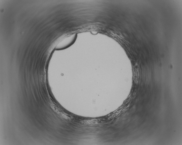 X0000068260100200605191813