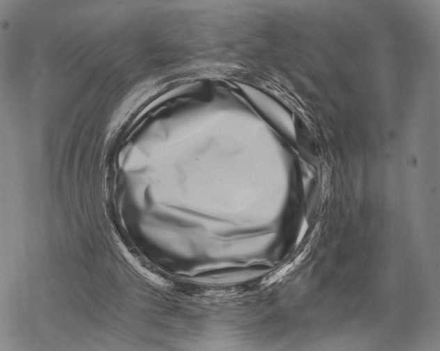 X0000068260101200605191813