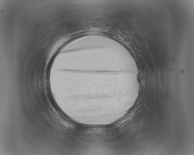 X0000068260102200605191813