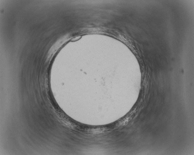 X0000068260103200605191813