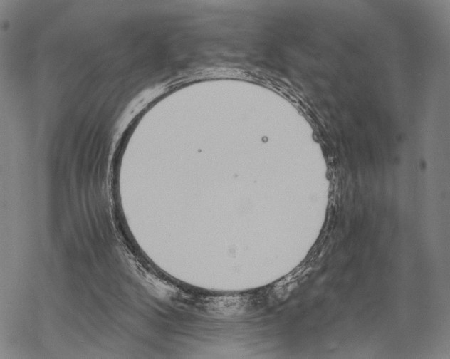 X0000068260104200605191813