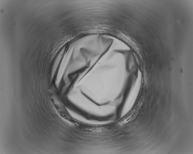 X0000068260105200605191813