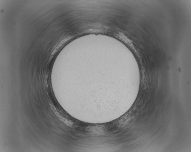 X0000068260106200605191813