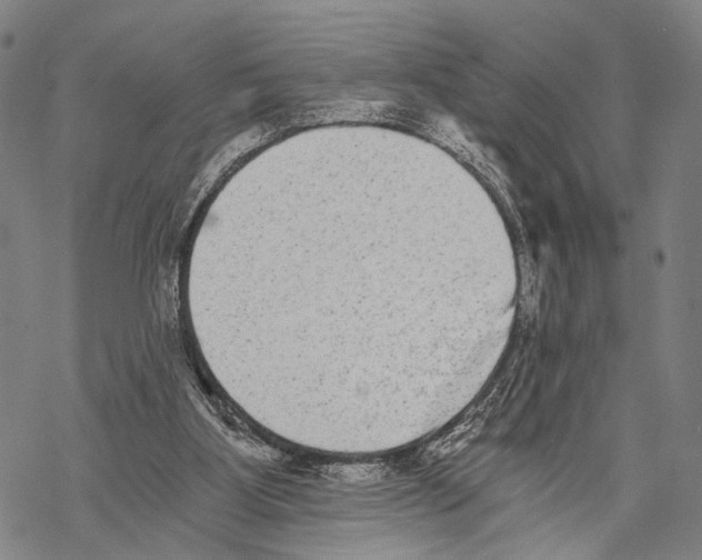 X0000068260107200605191813