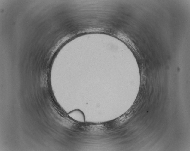 X0000068260108200605191813