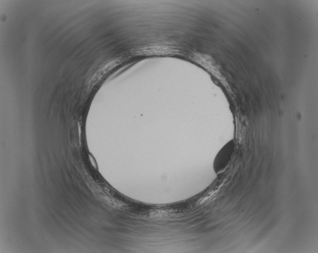 X0000068260109200605191813