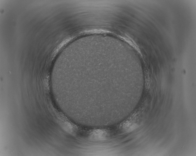 X0000068260111200605191813