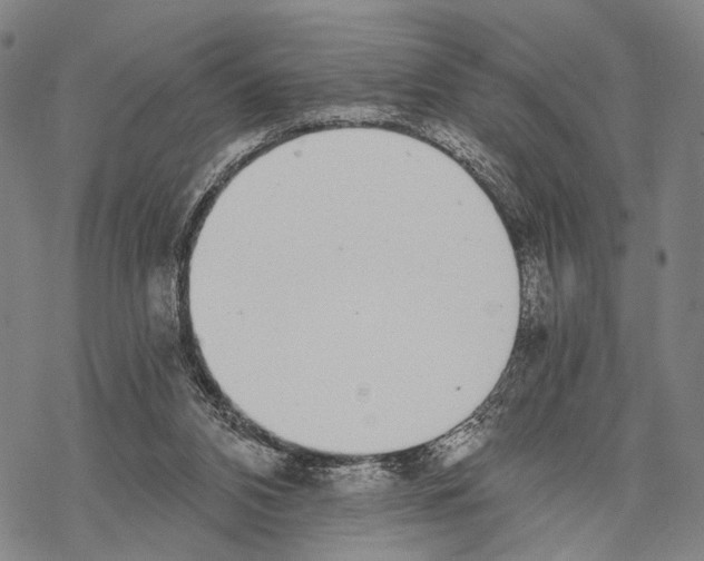 X0000068260112200605191813