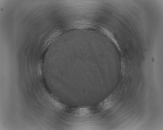 X0000068260114200605191813