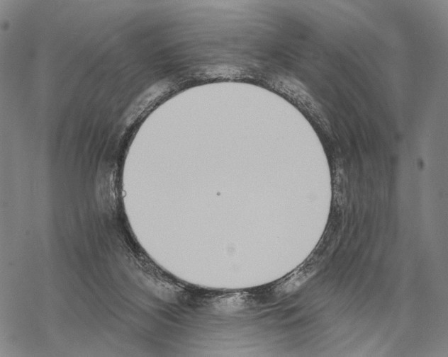 X0000068260116200605191813