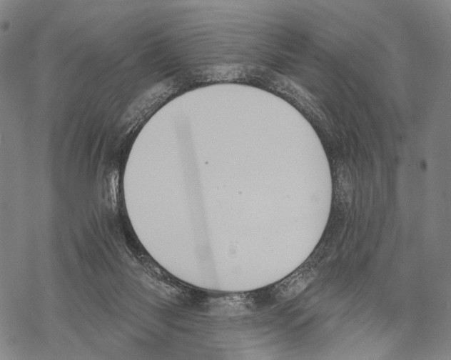 X0000068260118200605191812