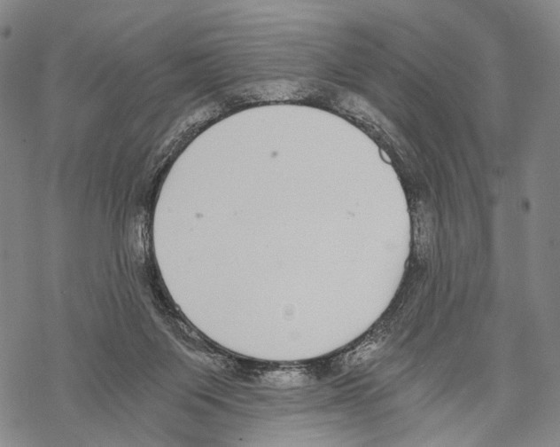 X0000068260119200605191812