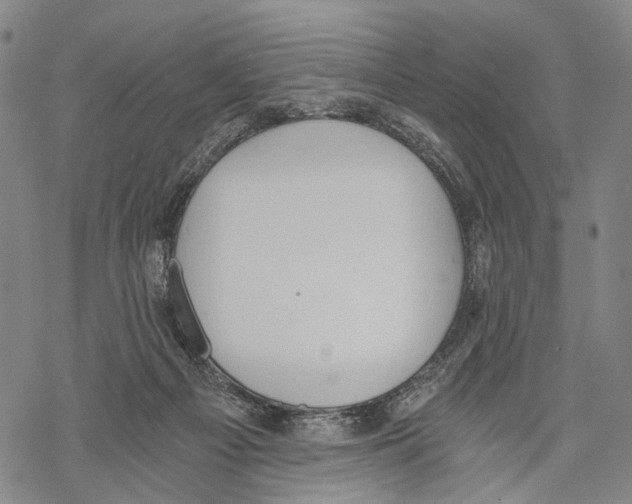 X0000068260121200605191812