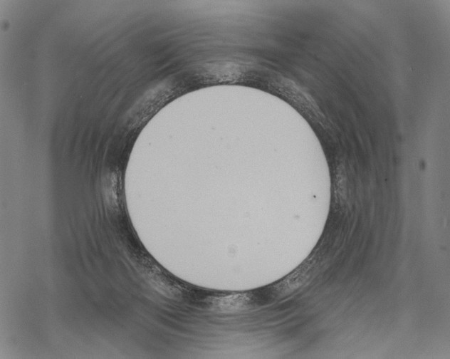 X0000068260122200605191812