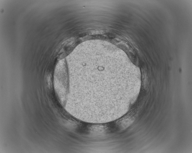 X0000068260123200605191812