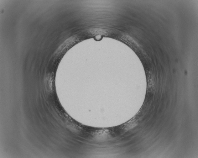 X0000068260124200605191812