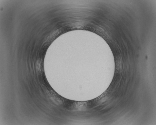 X0000068260126200605191812