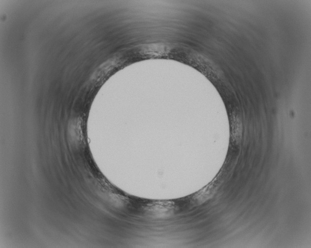 X0000068260128200605191812