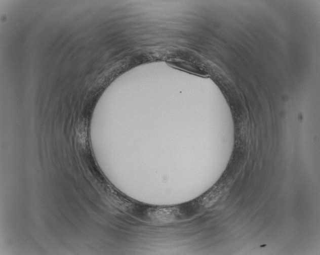 X0000068260129200605191812