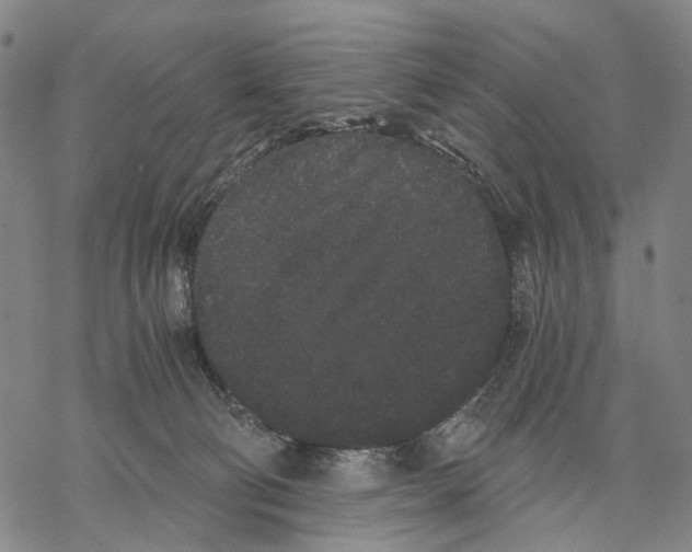 X0000068260130200605191812