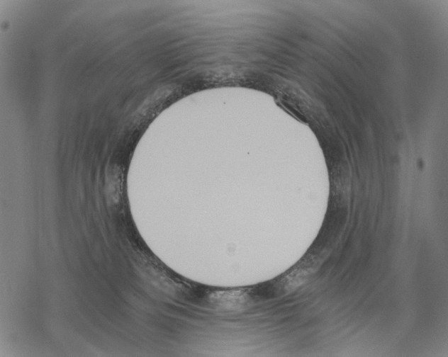 X0000068260133200605191812