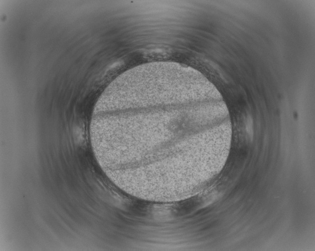 X0000068260134200605191812