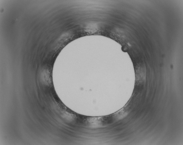 X0000068260136200605191812