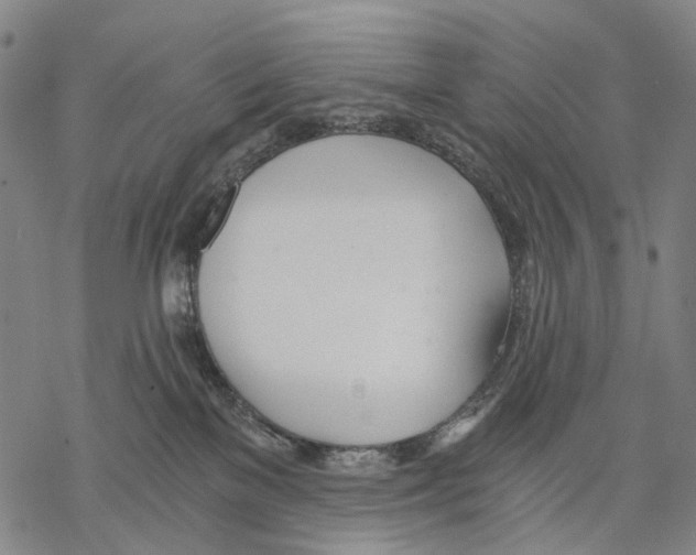 X0000068260137200605191812