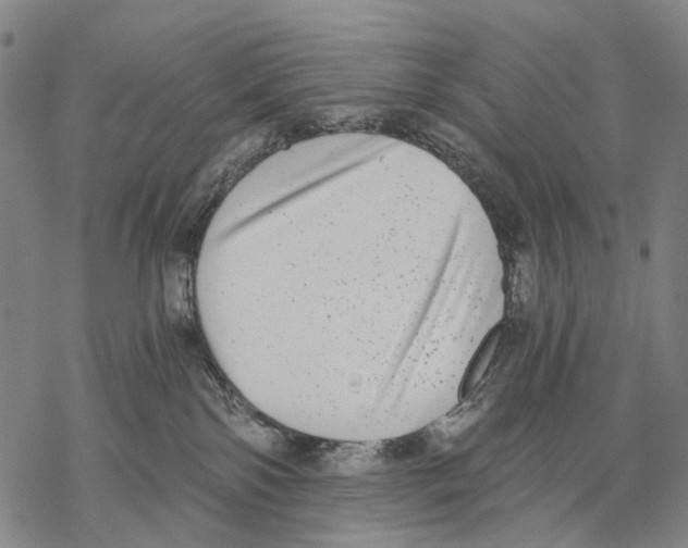 X0000068260138200605191812