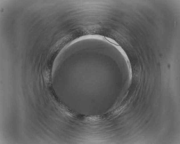 X0000068260139200605191812