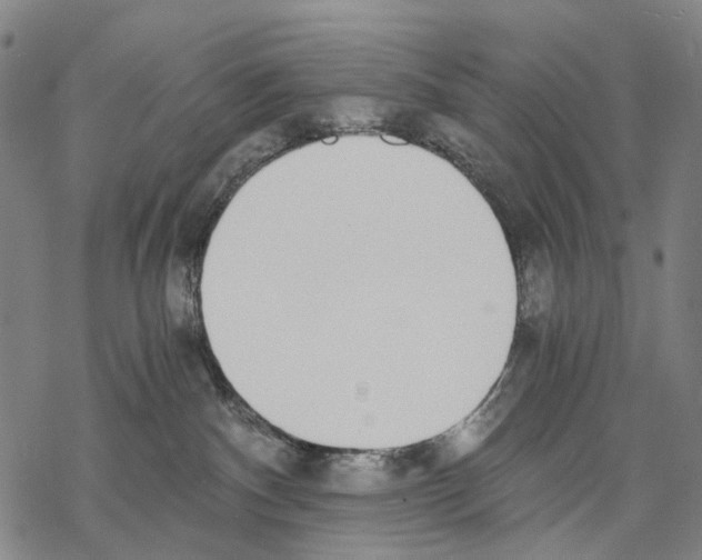 X0000068260140200605191812