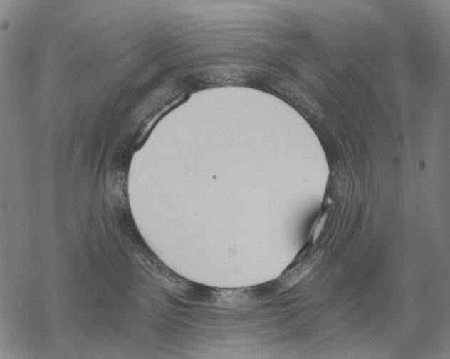 X0000068260141200605191812