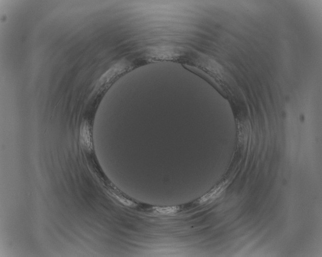 X0000068260143200605191812