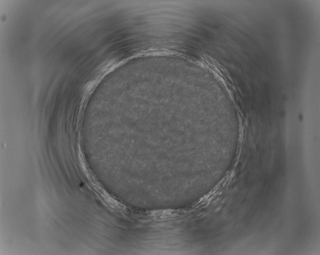 X0000068260145200605191811