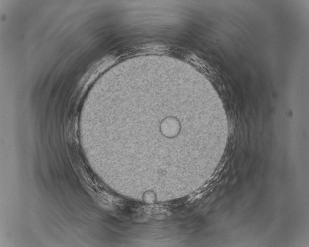 X0000068260146200605191811